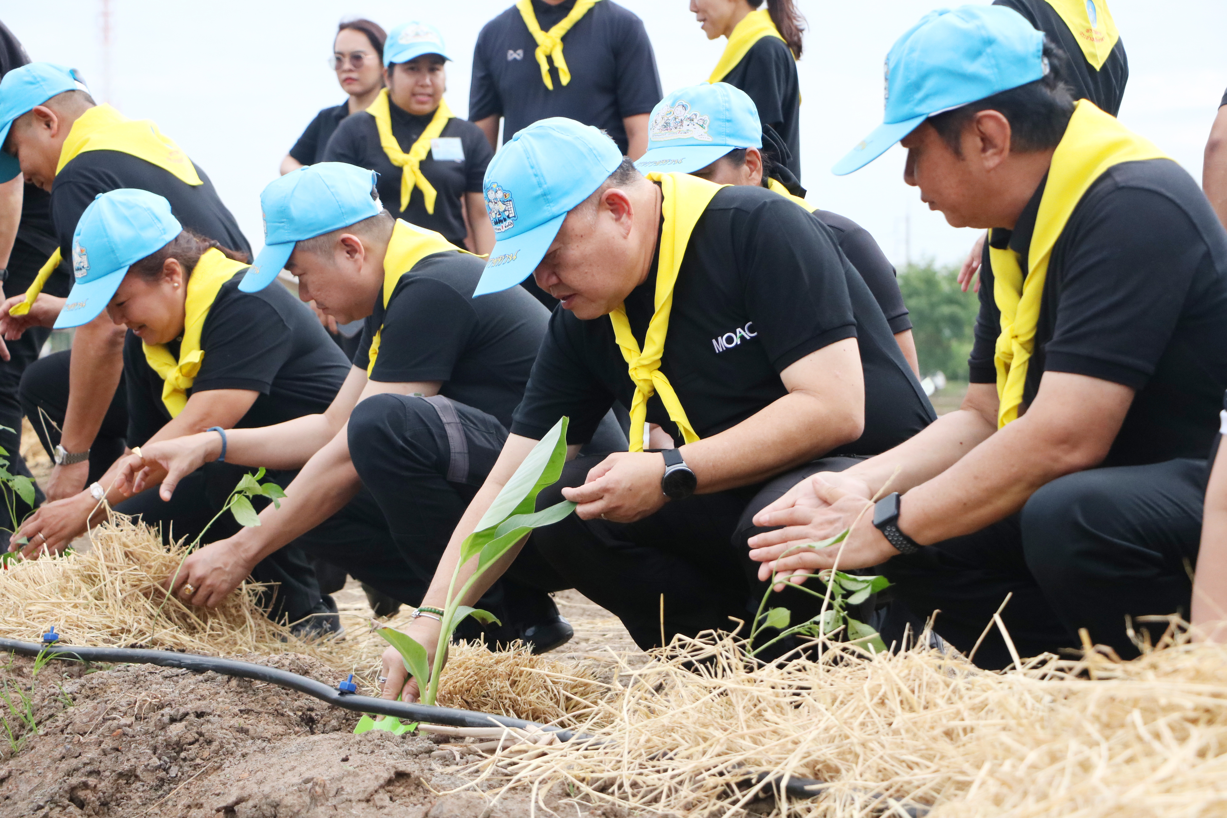 title - ส.ป.ก. ร่วมกิจกรรมโครงการจิตอาสาพัฒนาด้านการเกษตร กษ. เฉลิมพระเกียรติสมเด็จพระนางเจ้าฯ พระบรมราชินี เนื่องในโอกาสมหามงคลเฉลิมพระชนมพรรษา 4 รอบ 3 มิถุนายน 2569